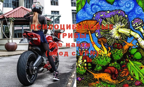 MDMA Белокуриха