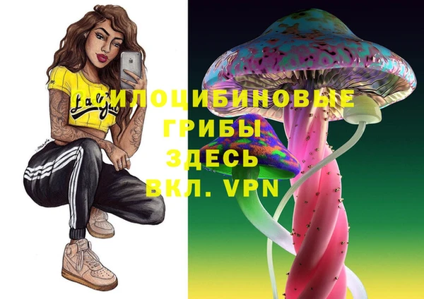 MDMA Белокуриха