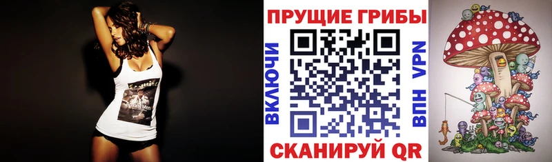 магазин    Тулун  Галлюциногенные грибы ЛСД 