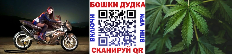мориарти как зайти  Тулун  Шишки марихуана Ganja 